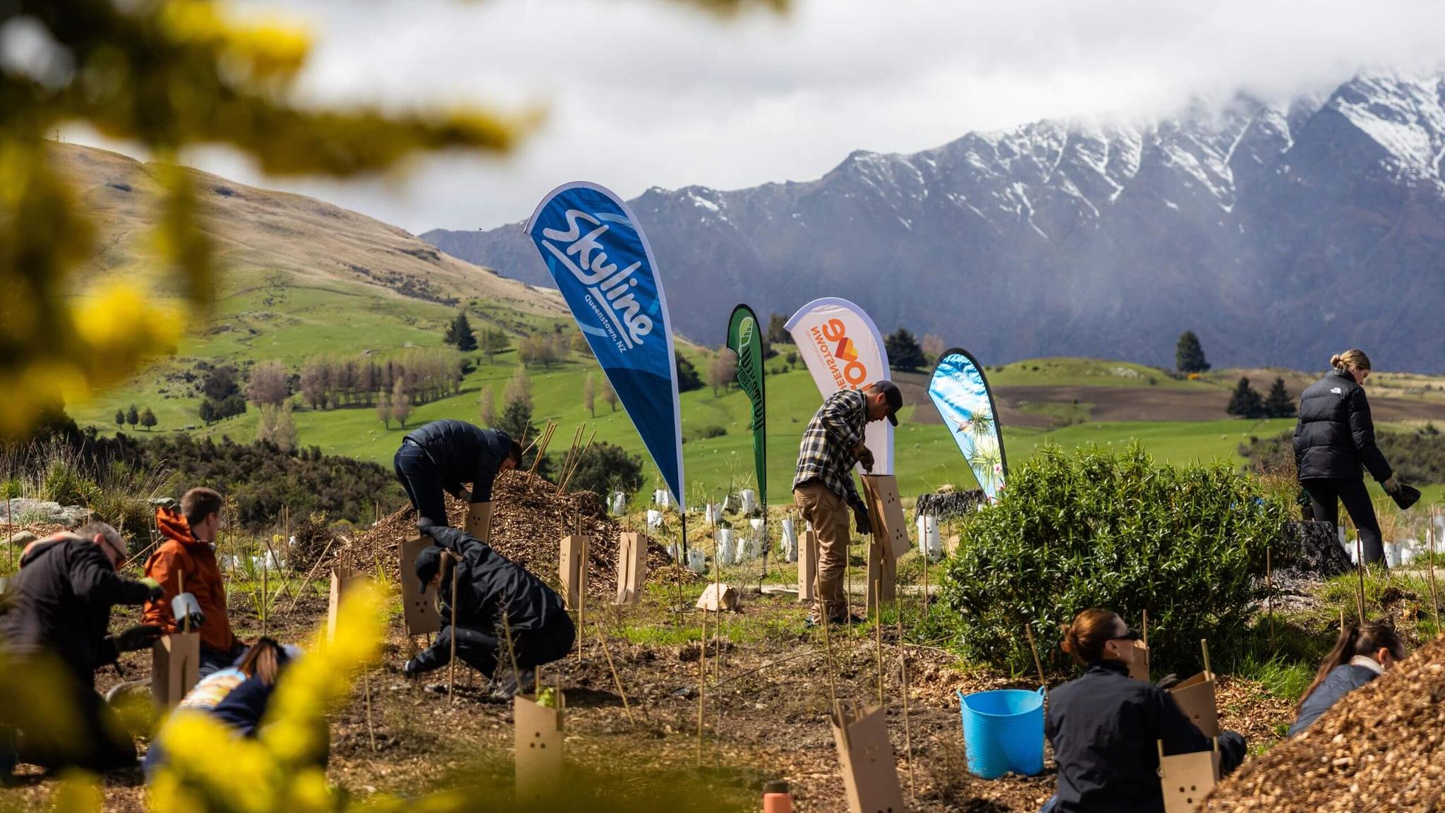 Volunteers planting native trees in Queenstown Valley beneath snow-capped mountains.