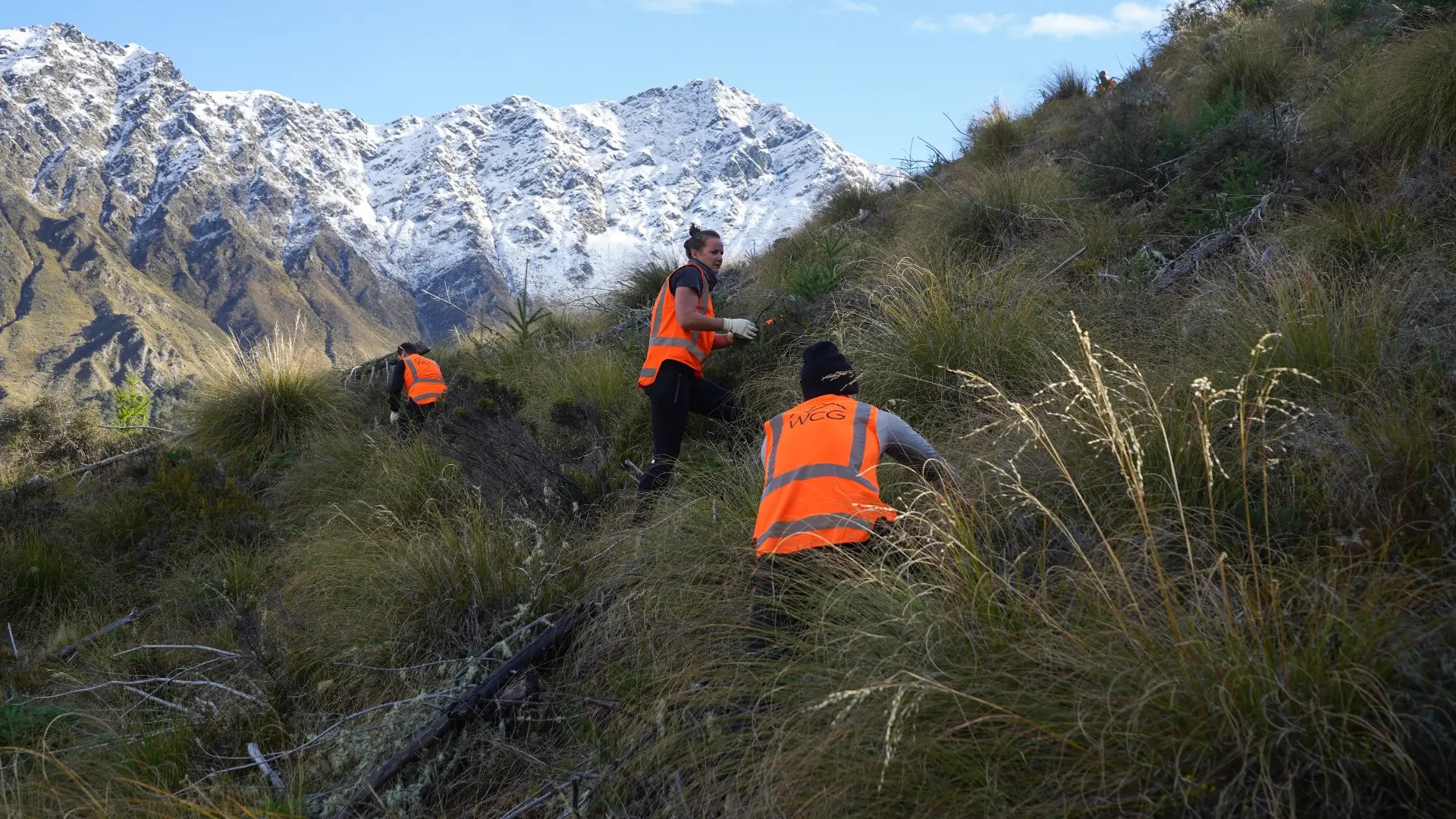 Volunteers working on a steep hillside at Bob’s Peak in Queenstown with alpine mountains in the background