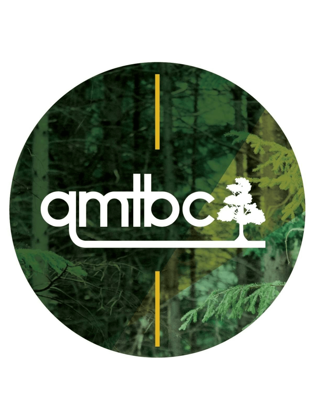 Queenstown Mountain Bike Club logo